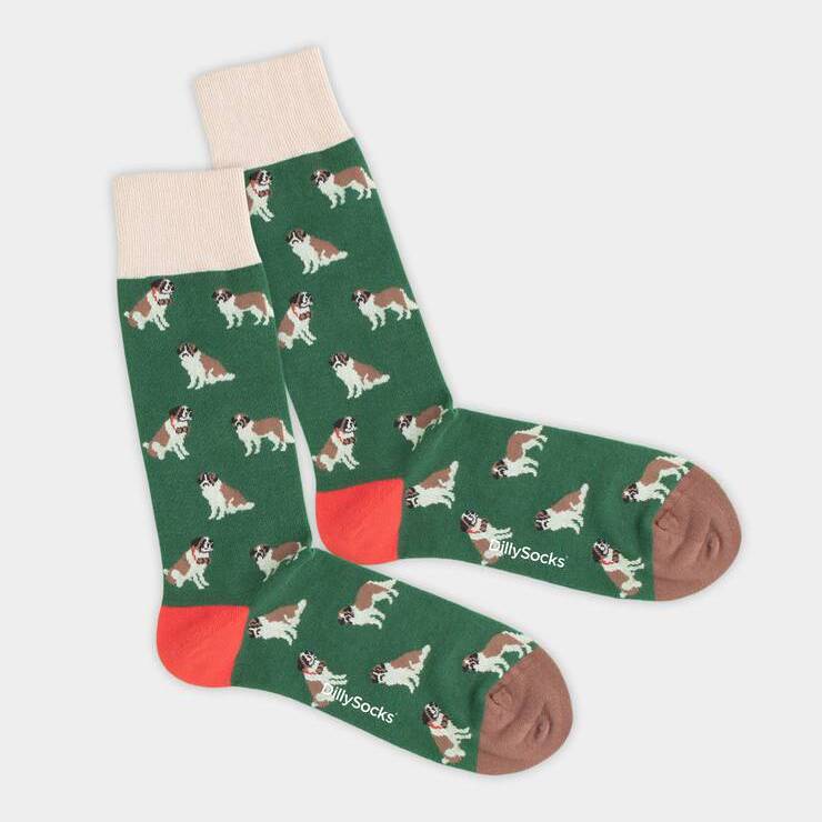 DILLYSOCKS || GOOSE BARRY