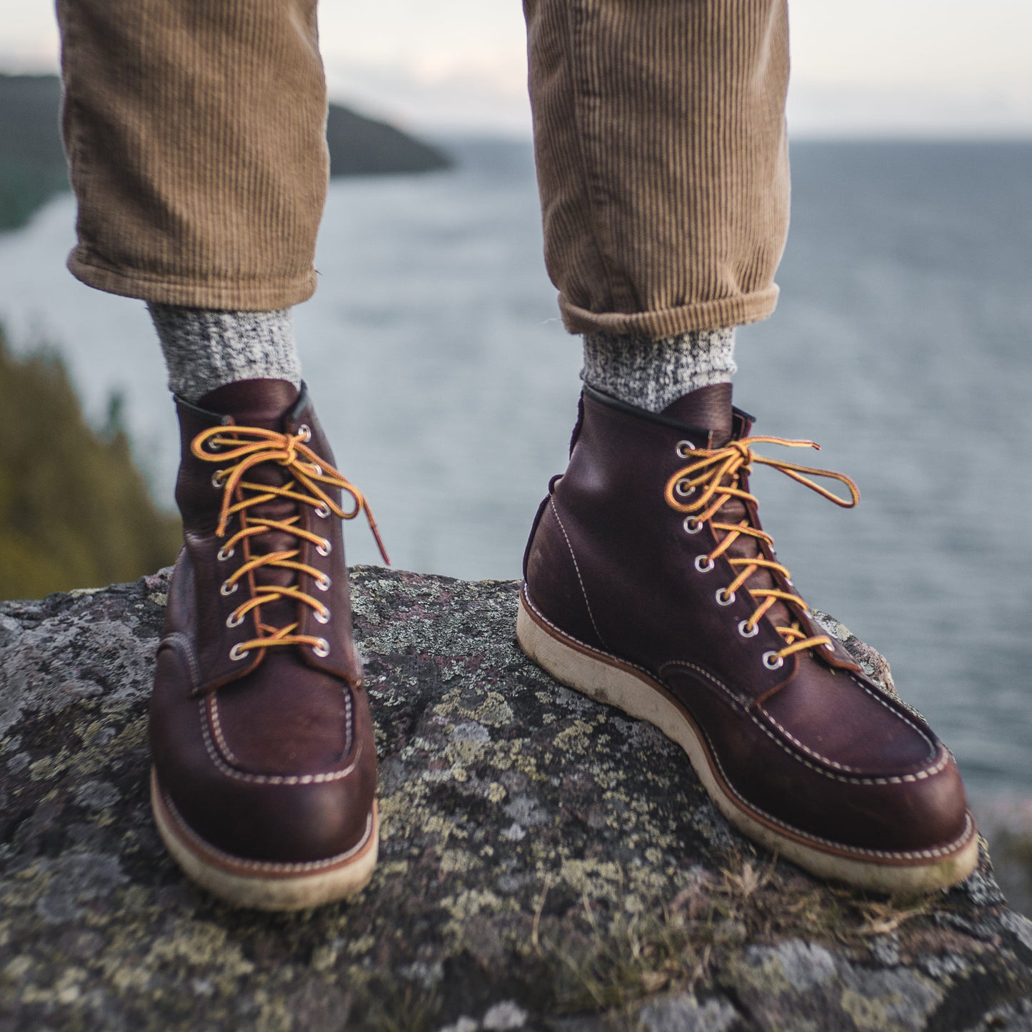 RED WING || 8138 MOC TOE BRIAR OIL SLICK